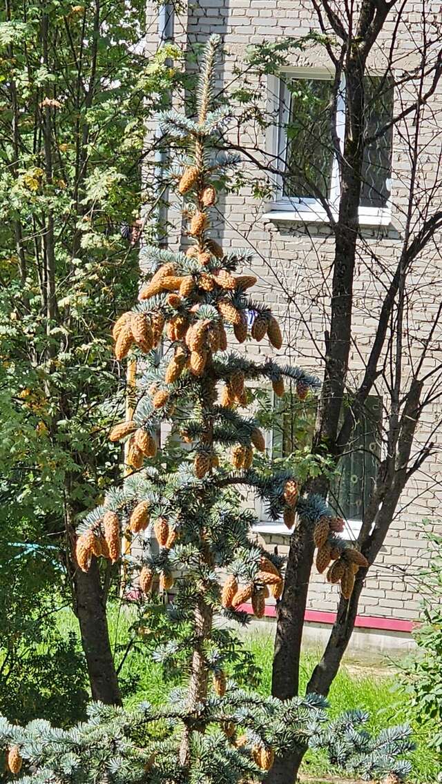 Гостиница Визит Ковров-153